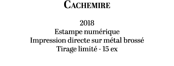 Cachemire 2018 Estampe num rique Impression directe sur m tal bross Tirage limit  15 ex