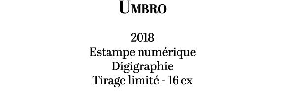Umbro 2018 Estampe num rique Digigraphie Tirage limit 16 ex
